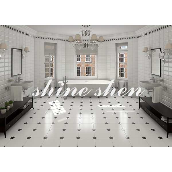 磁磚實景圖-翔紳股份有限公司