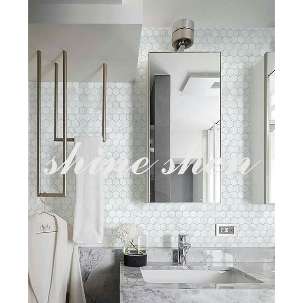 磁磚實景圖-翔紳股份有限公司