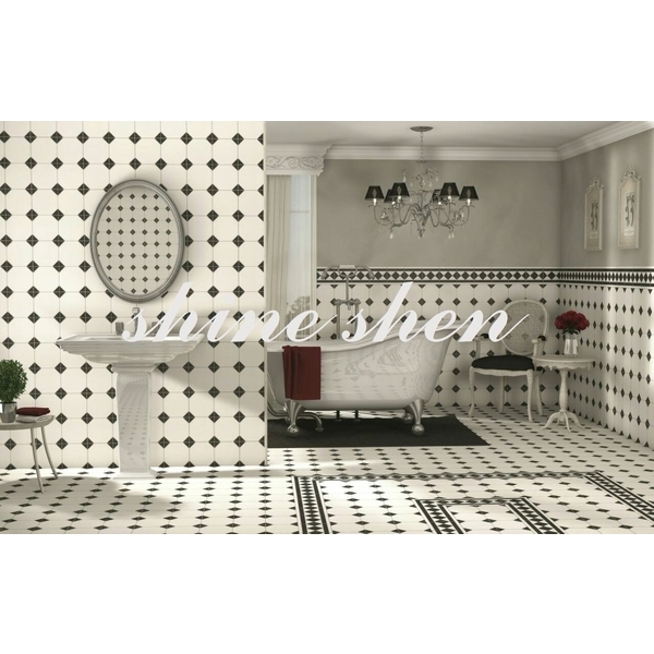 磁磚實景圖,翔紳股份有限公司