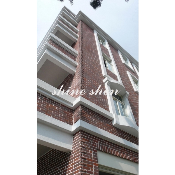 磁磚實景圖-翔紳股份有限公司