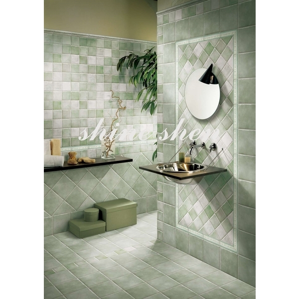 磁磚實景圖-翔紳股份有限公司