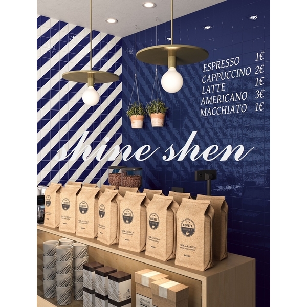 磁磚實景圖-翔紳股份有限公司