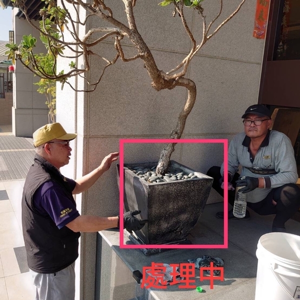 花器水垢處理-石博士有限公司