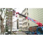 修剪 - 剪刀倫園藝社