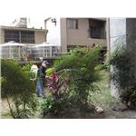 環境消毒工程 - 尚大病媒防治有限公司