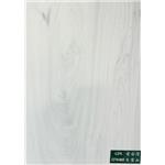 超耐磨-805愛台灣大雪山 , 吉普森企業有限公司