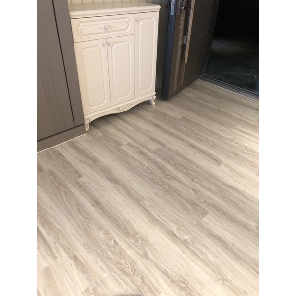 Olle歐力6201-吉普森企業有限公司