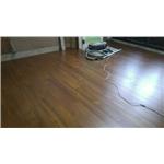 緬柚A+B - 吉普森企業有限公司