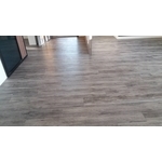 概念 - 吉普森企業有限公司