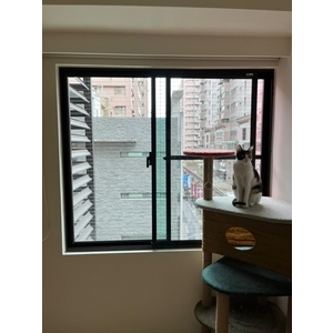 隱形鐵窗－防貓