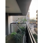 隱形鐵窗 - 唐盛科技企業行