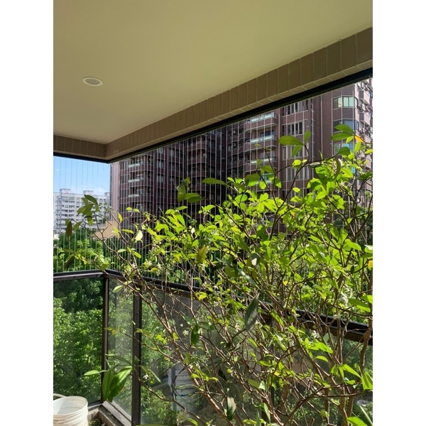 隱形防墜網-唐盛科技企業行