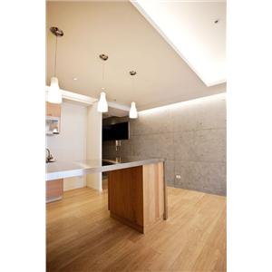 清水模建築防護 , 益崗工程有限公司