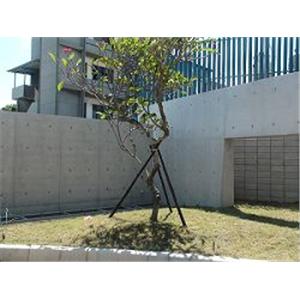 清水模建築防護工程-益崗工程有限公司