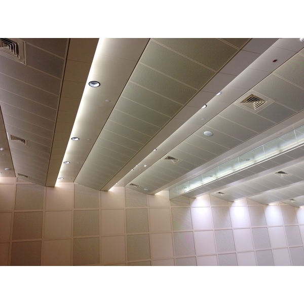 造型天花板工程