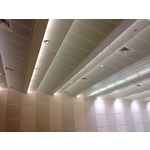 造型天花板工程 - 千鐸實業股份有限公司