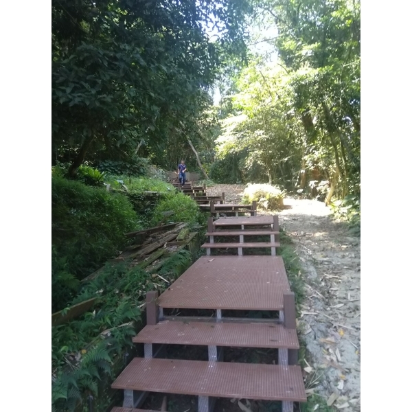 中埔(木棧道),君格科技有限公司