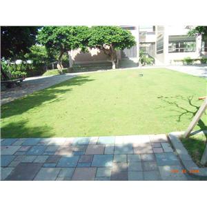 停車場植草磚+草皮 - 全成園藝材料行