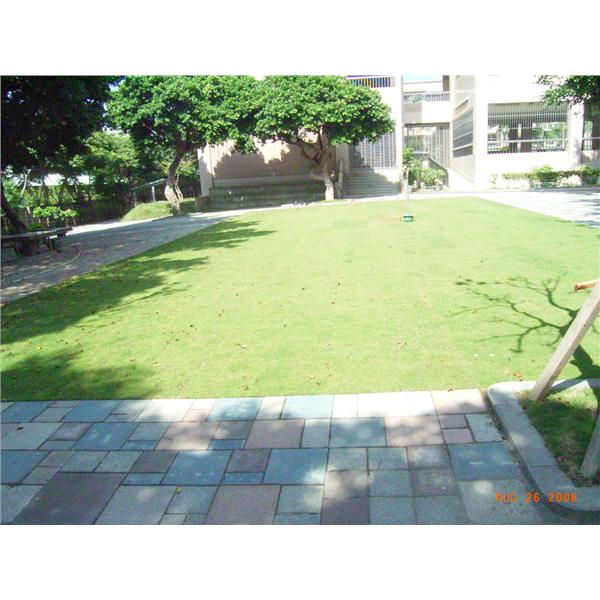 停車場植草磚+草皮