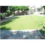 停車場植草磚+草皮 - 全成園藝材料行