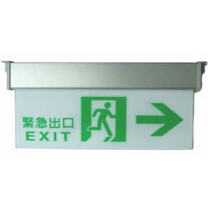 壁掛式標示燈,保家消防器材行