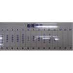 工程白板 , 十大行有限公司