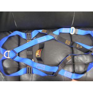 安全帶 , 十大行有限公司