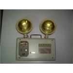 警急照明燈 , 十大行有限公司