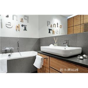 浴室版岩灰 , 新永興磁磚建材行