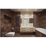 浴室-深咖啡色30_60 , 新永興磁磚建材行