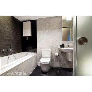 30X60銀狐壁磚+馬賽克磁磚 , 新永興磁磚建材行