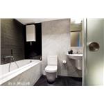 30X60銀狐壁磚+馬賽克磁磚 , 新永興磁磚建材行