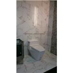 30X60高亮地磚 , 新永興磁磚建材行