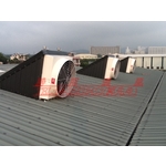 屋頂通風設備、排風扇 - 盛用實業有限公司