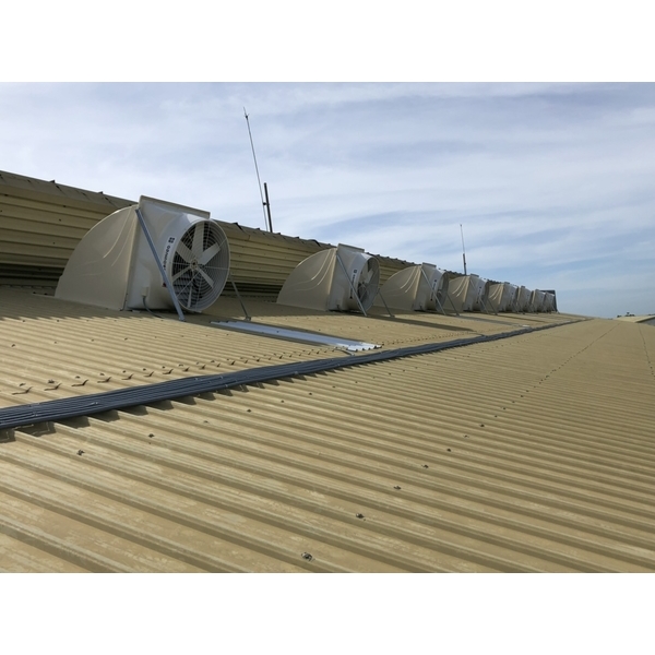 屋頂負壓排風機