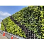 綠化圍籬工程 - 丞峰土木建築機械有限公司