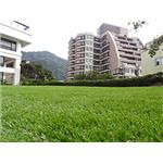 春天酒店 - 欣耐吉人工草皮企業有限公司