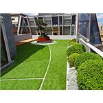 福樺雲朗 - 欣耐吉人工草皮企業有限公司