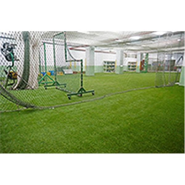 興穀國小地下室棒球練習場,欣耐吉人工草皮企業有限公司