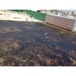 頂樓防水隔熱-2 - 上實工程行