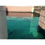 頂樓防水隔熱-4 - 上實工程行