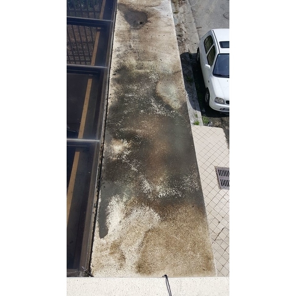 住宅水泥青苔清除