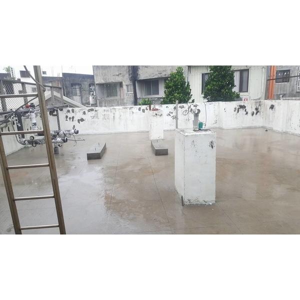 住宅水泥青苔清除