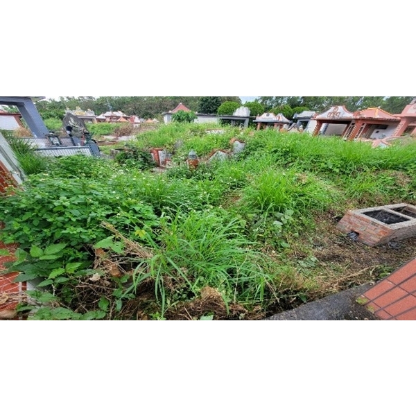 墳墓清潔,宸潔環境清潔維護服務社