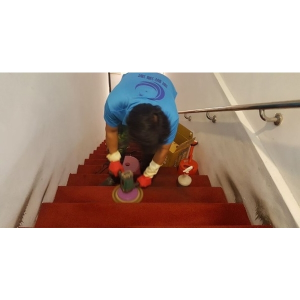 樓梯地毯清潔