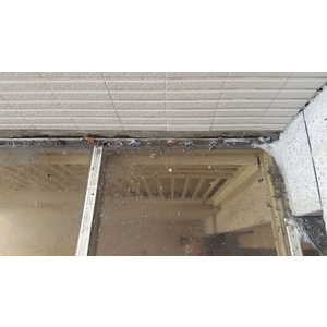 住宅水泥青苔清除