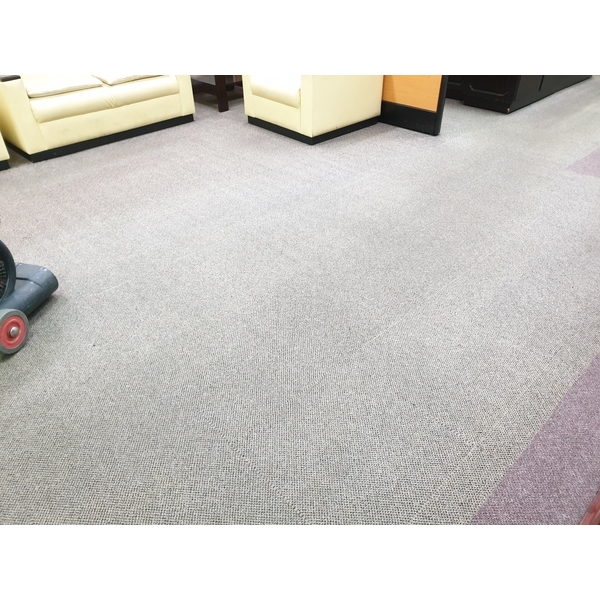 醫院地毯清洗-宸潔環境清潔維護服務社