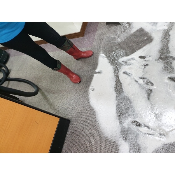 醫院地毯清洗-宸潔環境清潔維護服務社