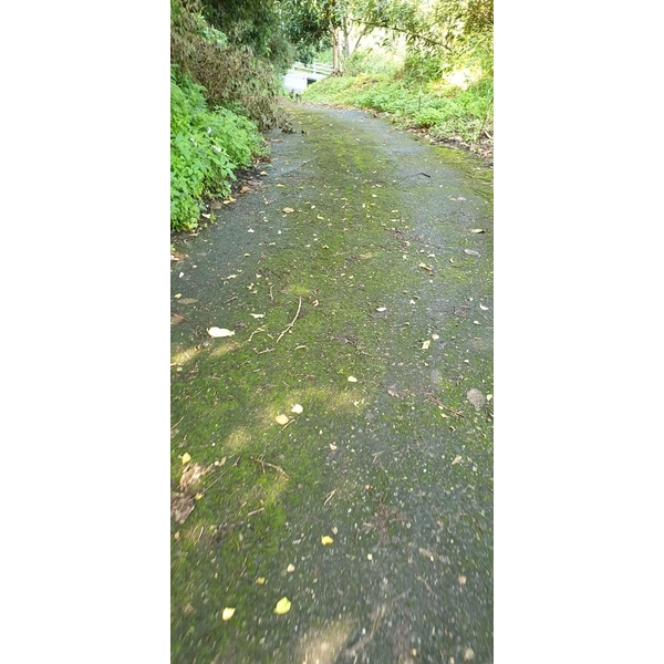 產業道路青苔清洗-宸潔環境清潔維護服務社