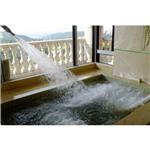 游泳池設備 SPA設備 三溫暖設備 三溫暖烤箱 - 台灣商拿有限公司